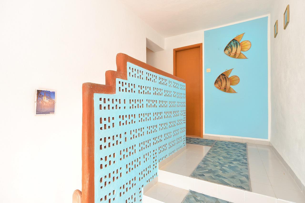 Apartments Stjepan 725 파자나 외부 사진